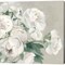 Peonies on Gray Flipped Crop by Marilyn Hageman 24" x 24" Canvas Wall Art